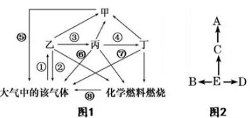 17c.18：全球气候变化对生态系统的影响及应对策略分析，探讨未来可持续发展的新路径与挑战