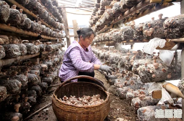 两片肥厚的进进出出，真是让人感受到生活的丰富多彩，充满了无限可能