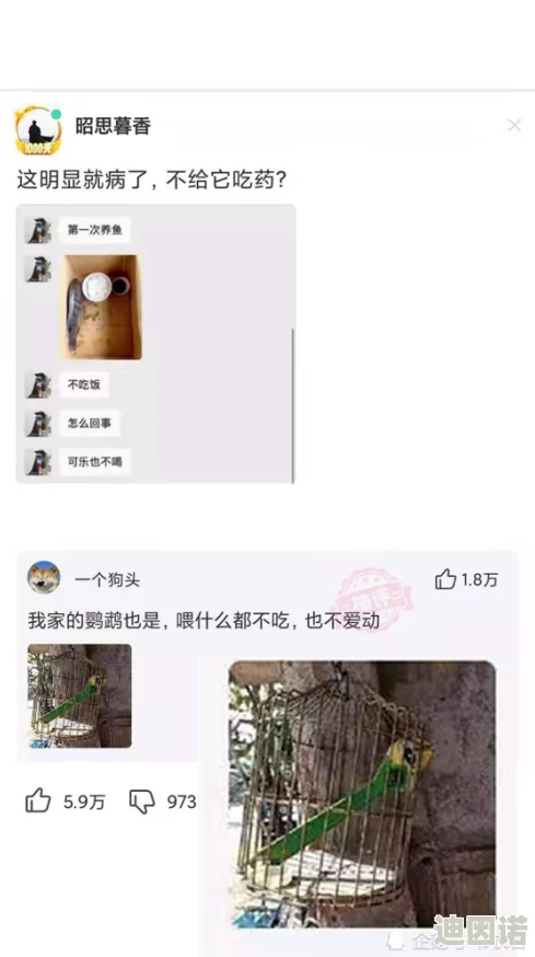 中文乱码在线视频网友认为这种现象影响观看体验，希望平台能够优化编码方式以提升视频质量和用户满意度