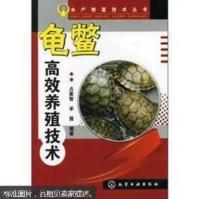 七日世界活体凝胶高效养殖全攻略：新技巧与养护要点揭秘