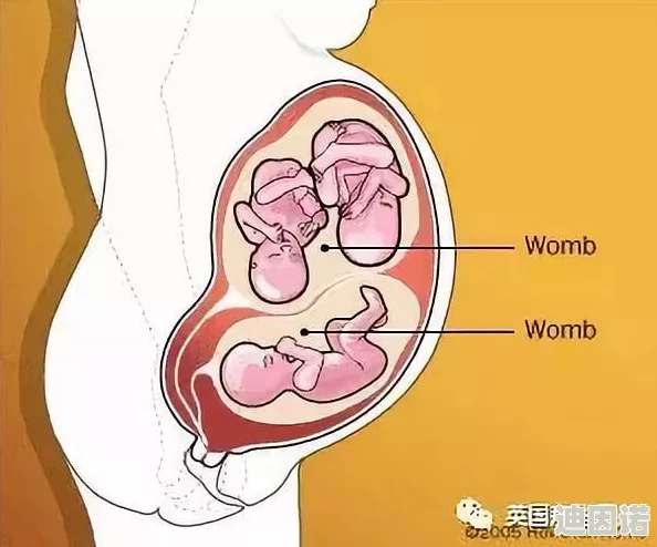 三洞齐插好深到子宫了网友纷纷表示这种行为太过激进，可能对身体造成伤害，呼吁大家关注安全与健康