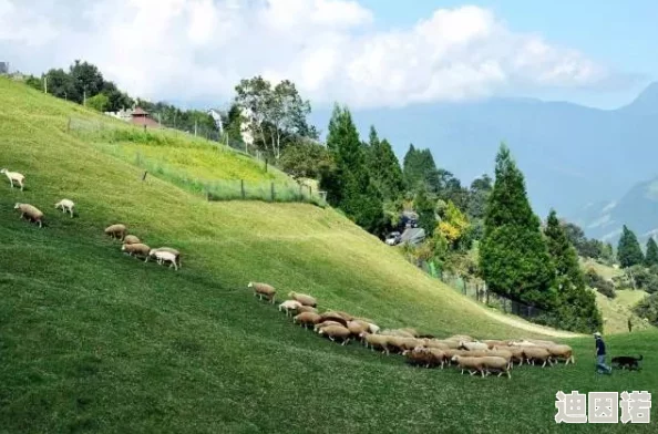 国产专区青青草原亚洲，内容丰富多样，让人感受到浓厚的文化氛围，非常喜欢！