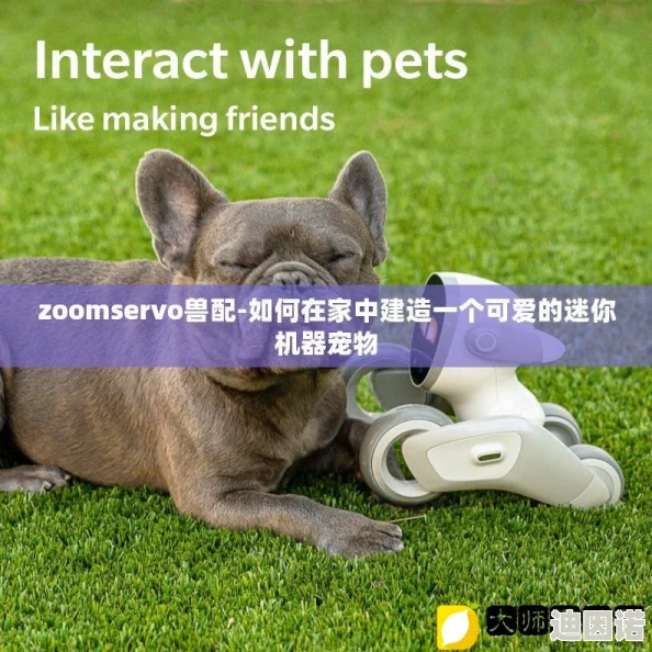 zoomservo兽配，真是个有趣的创意，期待看到更多相关作品！