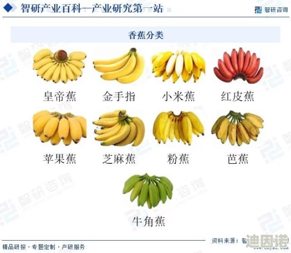 香蕉国产线观看最新进展消息：随着国内市场需求的增加，香蕉产业链逐渐完善，相关企业纷纷加大投资力度以提升产量和品质