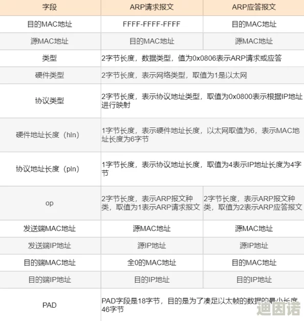 自走棋手游金币获取攻略：最新快速刷金币方法与技巧详解2024