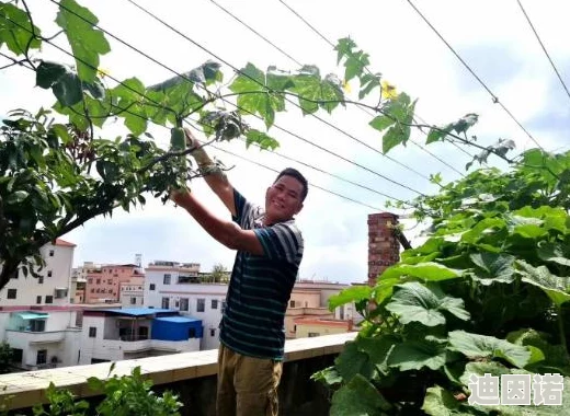 光遇游戏内繁花拱门获取攻略：最新解锁条件与繁花拱门获得方法详解