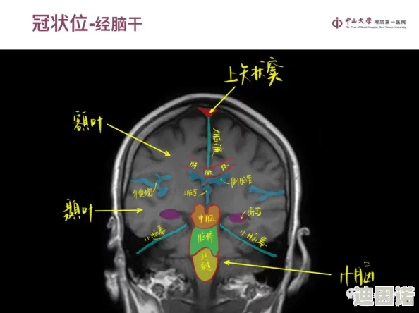 国产91精品高清一区二区三区近日曝光多位明星私下聚会照片引发热议网友纷纷猜测他们的关系是否超越友谊