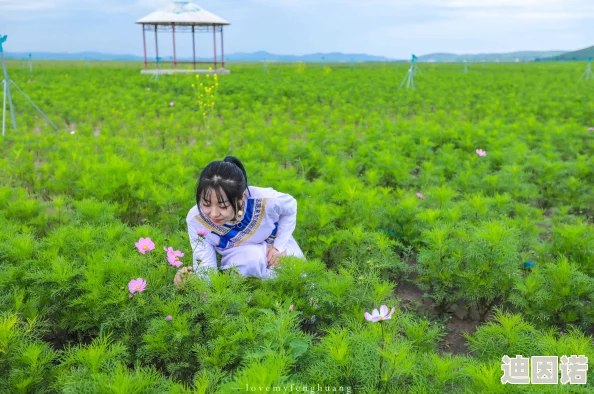 美女被草视频原来是大自然的奇妙景观，花草丛中隐藏着美丽的秘密！