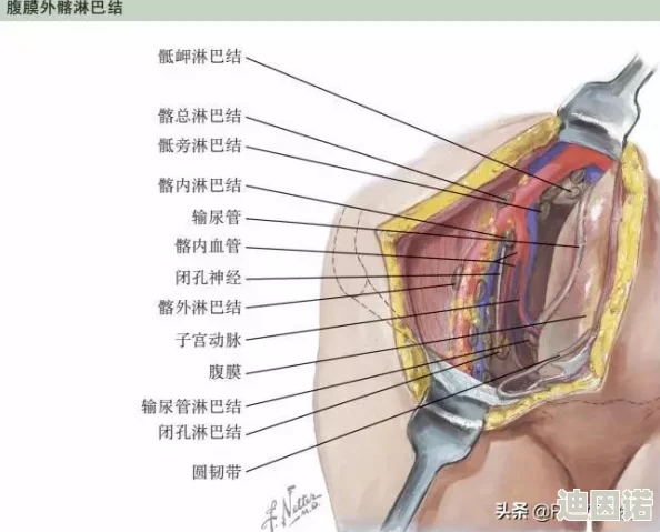 亚洲人体一区健康生活方式的推广与实践