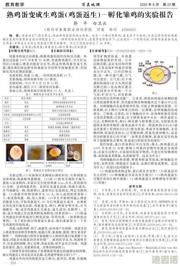 一级大学生高清毛片指的是高等教育学生的学术研究与论文质量要求较高