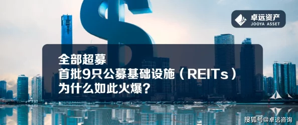 久久香蕉国产新品种“甜蜜一号”上市销售火爆市场反响热烈