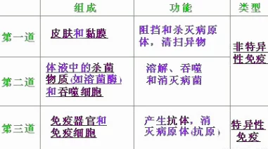 中国china体内谢o精此标题可能涉及到对中国文化或传统医学的某种隐喻或象征性表达